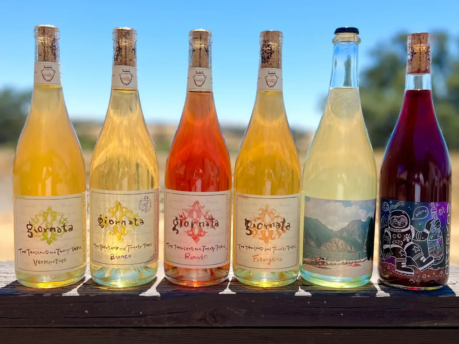 Six bottles of different colored wines on a wooden surface with a blurred natural background